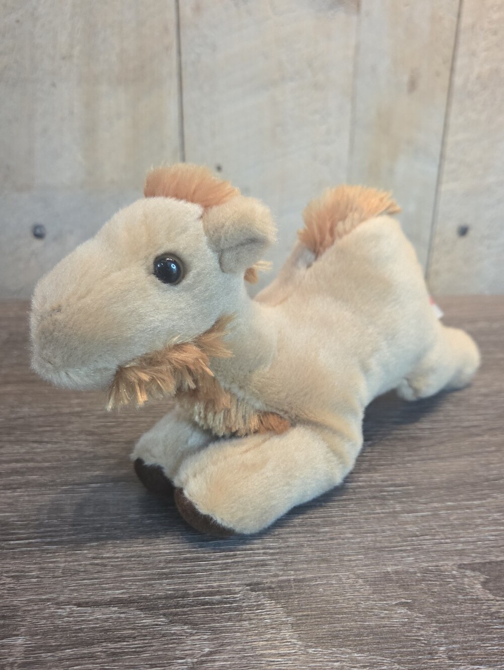 Camel 8" laying brown Sahara Plush 2017 Aurora #31726 Stuffed Animal Toy Cute